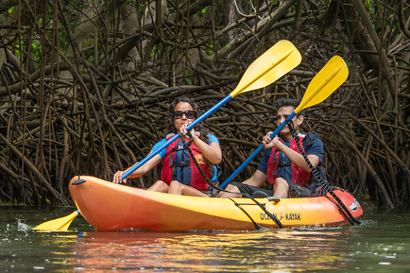 tandem kayakers with mangroves behind