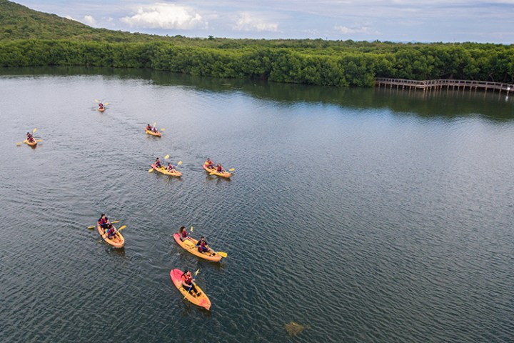 Overhead shot from a drone of kayakers in the bioluminescence bay