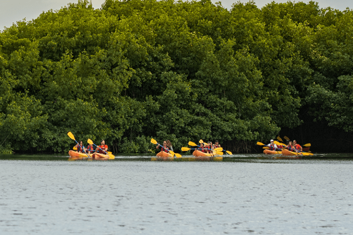 Kayakers in a group in front of some trees