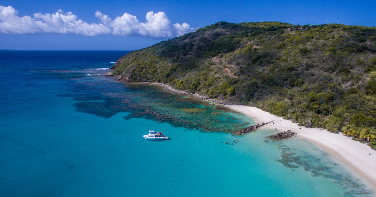 Culebra power boat & Bioluminescent Bay Combo Image 1