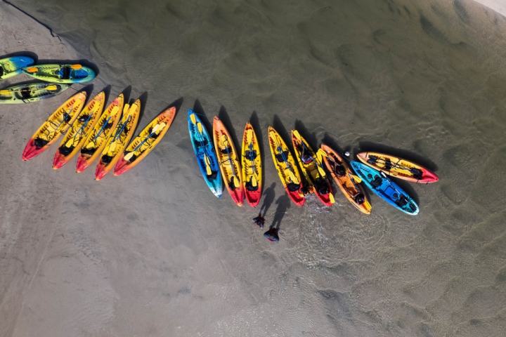 Colorful kayaks lined up on a sandy shore with people standing nearby on a clear day.