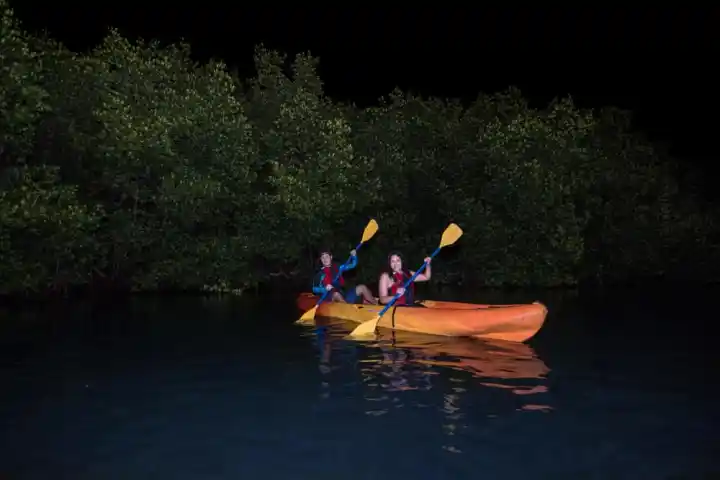 Two people kayaking at night near mangrove trees.