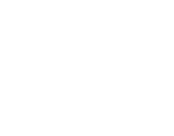 Travelers Choice