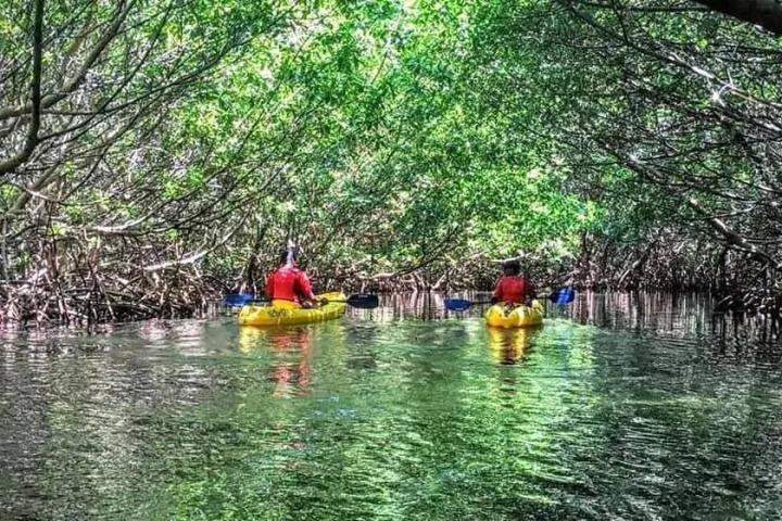 water next to a tree