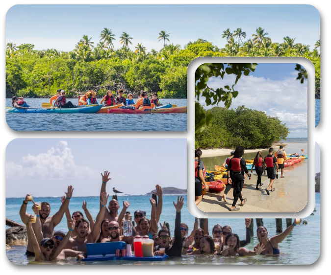 Group Charters with Eco Adventures