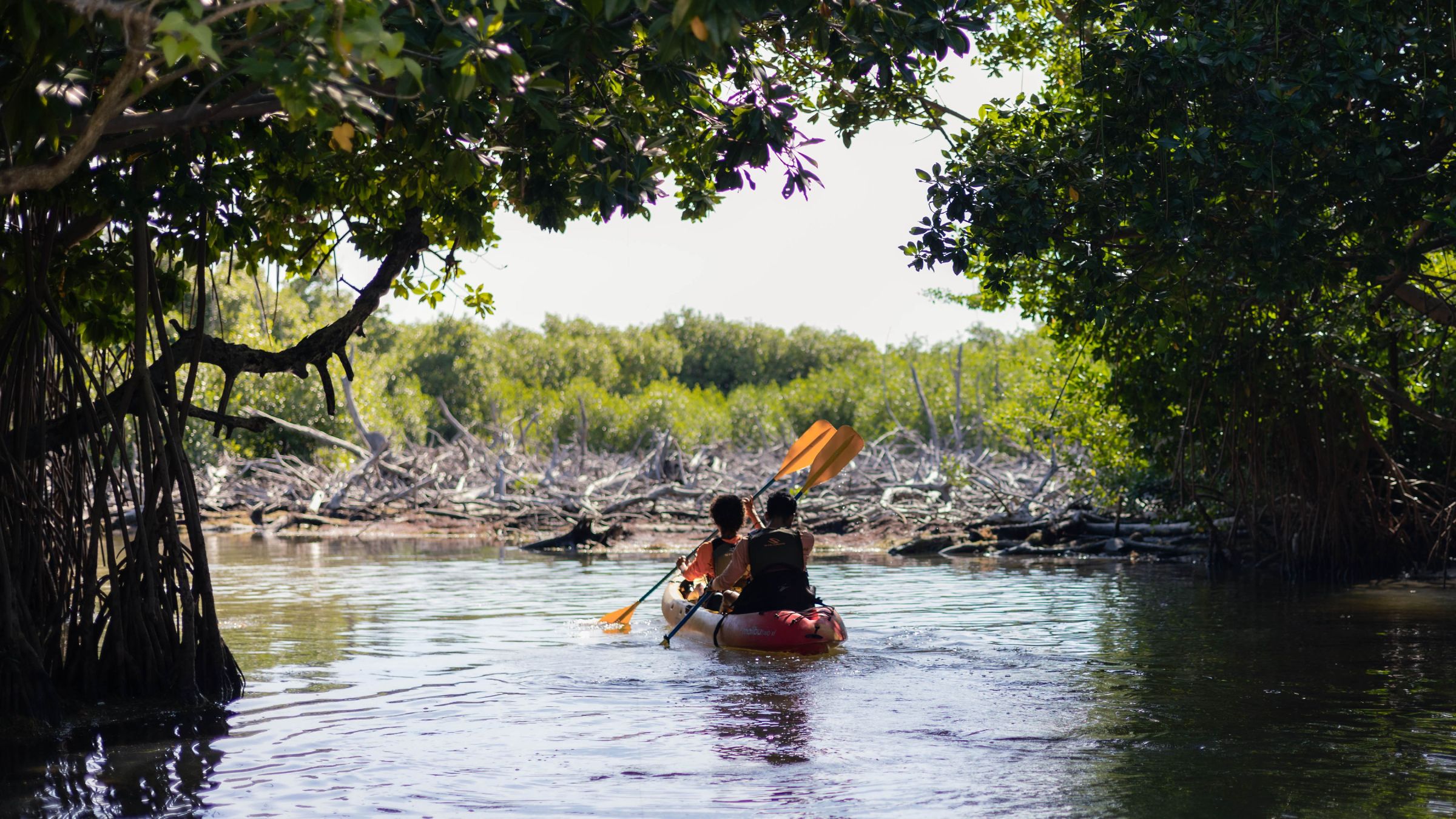 a person rowing a boat in a body of water