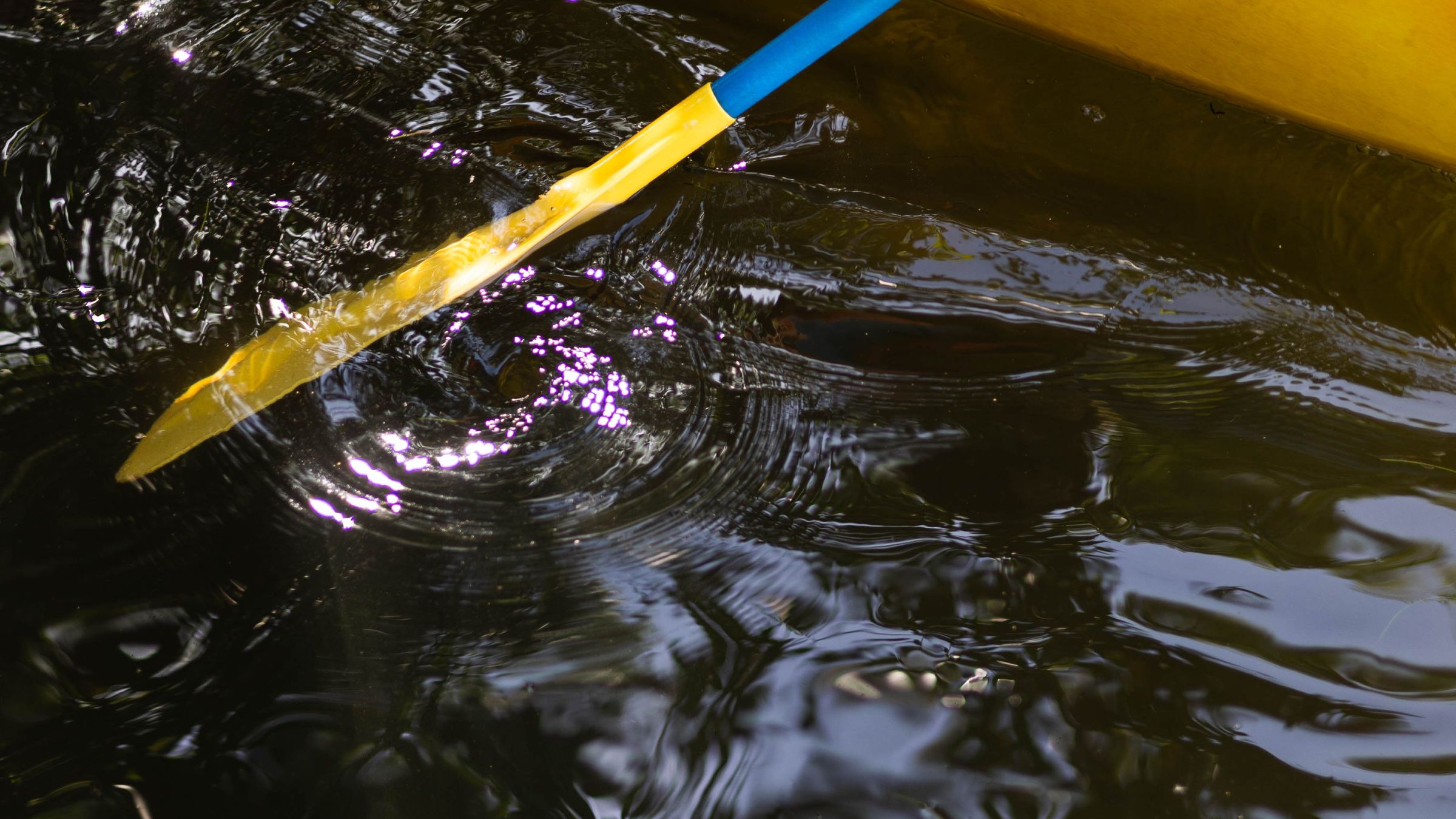 a boat on a body of water