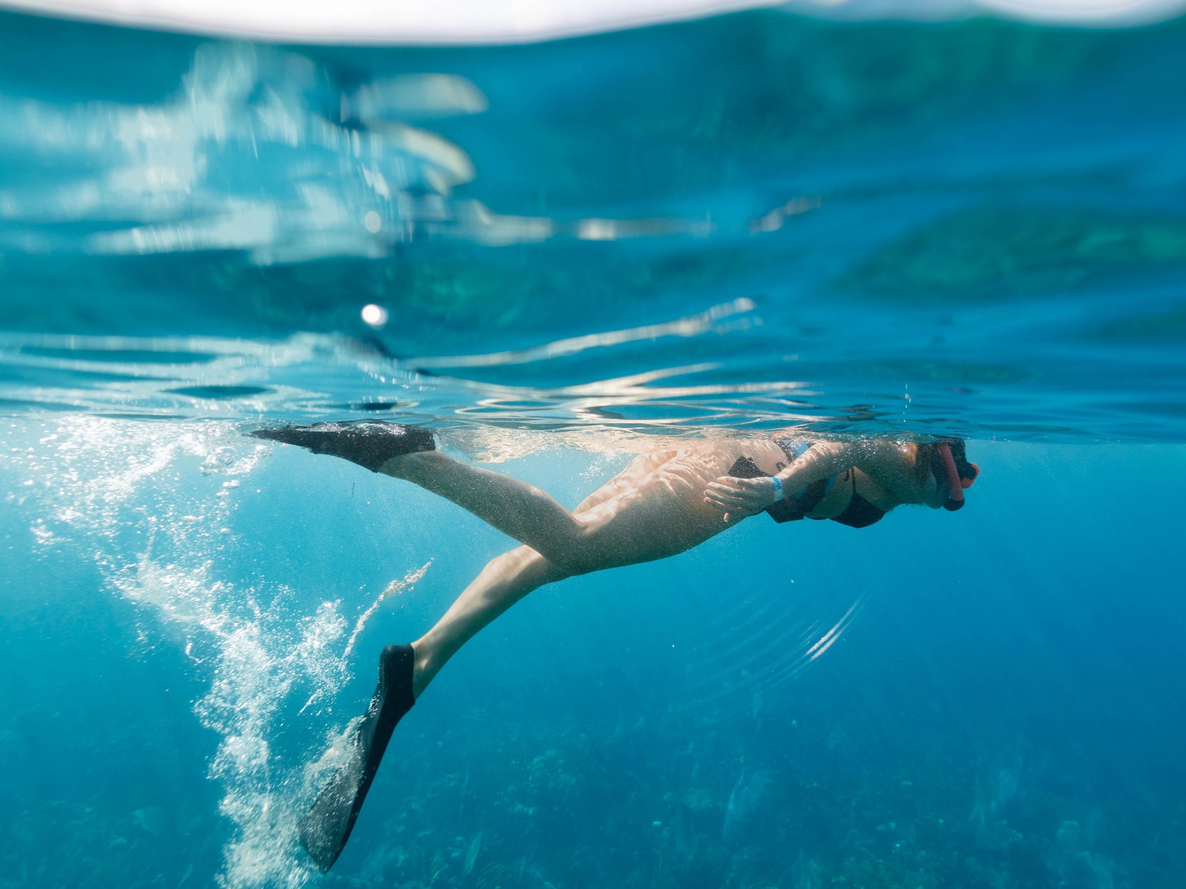 a bird swimming in water