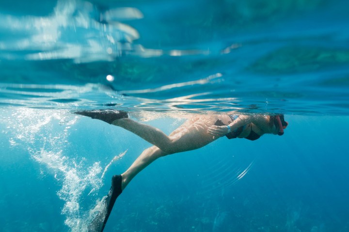 a bird swimming in water